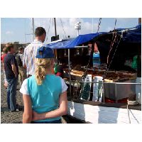 20060812 Fischkauf in Wismar (0).JPG